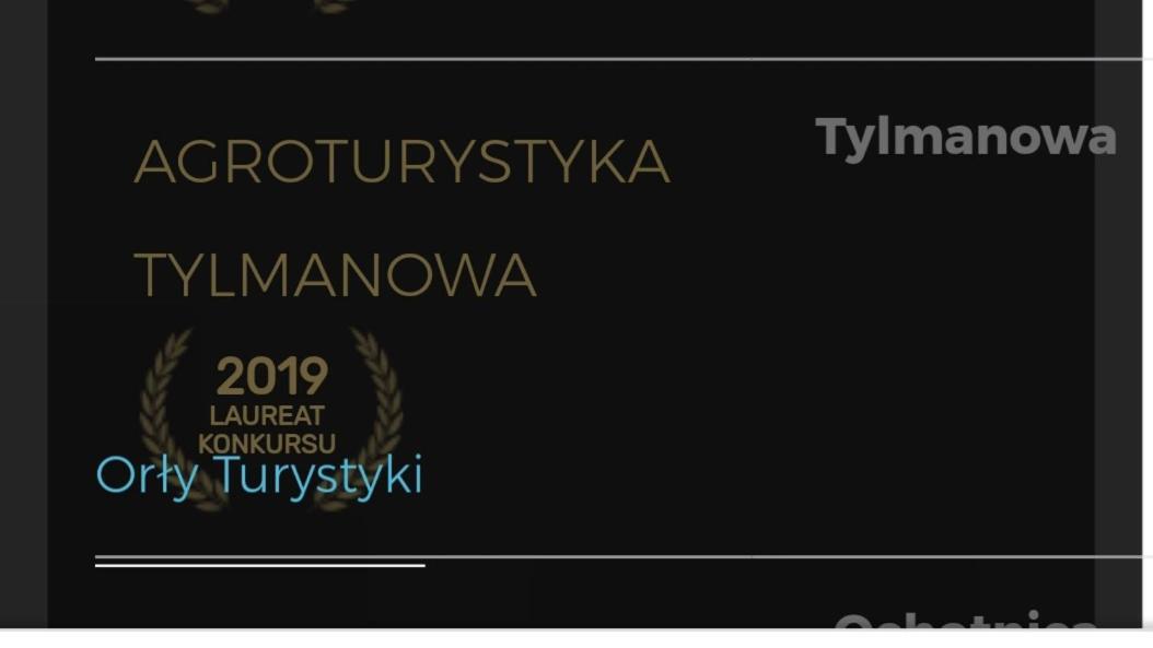 Agroturystyka Tylmanowa别墅 外观 照片